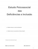 Estudo Psicossocial das Deficiências e Inclusão