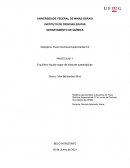 O Relatório de Físico Química Experimental