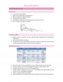 O Diabetes Mellitus