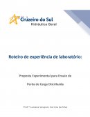 A Proposta Experimental para Ensaio de Carga Distribuída