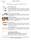 SISTEMA LINFATICO EXERCICIOS PARA CORE