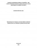 A PRECARIZAÇÃO DO TRABALHO: ANÁLISE SOBRE OS DIREITOS TRABALHISTAS E AS CONDIÇÕES LABORAIS DOS MILITARES