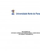 O Curricular Obrigatório Ii: Anos Iniciais do Ensino Fundamental