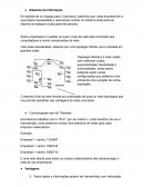 Os Sistemas de Informação