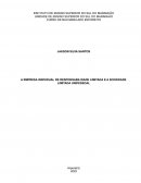 A EMPRESA INDIVIDUAL DE RESPONSABILIDADE LIMITADA E A SOCIEDADE LIMITADA UNIPESSOAL