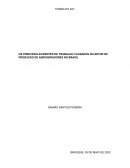 OS PRINCIPAIS ACIDENTES DE TRABALHO CAUSADOS NO SETOR DE PRODUÇÃO DE AEROGERADORES NO BRASIL