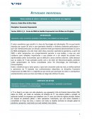 A Economia Empresarial Setorial