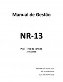 O Manual de Gestão NR13