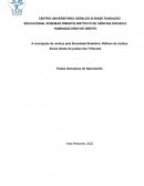 A Concepção de Justiça pela Sociedade Brasileira: Reflexo da Justiça Social diante da justiça dos Tribunais