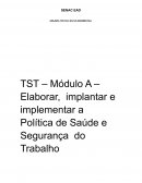 Elaborar, Implantar e Implementar a Política de Saúde e Segurança do Trabalho.