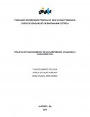 O PROJETO DE FUNCIONAMENTO DE UM COMPRESSOR UTILIZANDO A LINGUAGEM VHDL