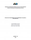 O PROJETO DE FUNCIONAMENTO DE UM COMPRESSOR UTILIZANDO A LINGUAGEM VHDL