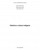A História e Cultura Indígena