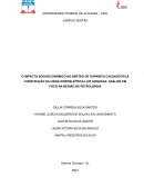 OS IMPACTOS SOCIOAMBIENTAIS RELACIONADO A CONSTRUÇÃO DE USINAS HIDROELÉTRICAS NO SERTÃO.