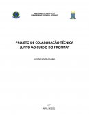 O PROJETO DE COLABORAÇÃO TÉCNICA