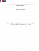 O DIREITO À DESCONEXÃO EM TEMPOS DE PANDEMIA DA COVID-19 E A REGULAMENTAÇÃO DO TELETRABALHO NO BRASIL