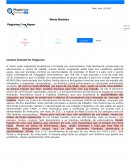 The Plagiarism Scan Report