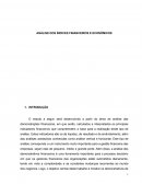 A ANÁLISE DOS ÍNDICES FINANCEIROS E ECONÔMICOS