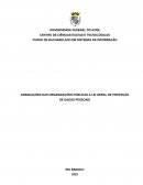 ADEQUAÇÕES DAS ORGANIZAÇÕES PÚBLICAS À LEI GERAL DE PROTEÇÃO DE DADOS PESSOAIS