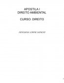 AS NOÇÕES PROPEDÊUTICAS DO DIREITO AMBIENTAL