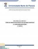 RELATÓRIO AULA PRÁTICA CIÊNCIAS MORFOFUNCIONAIS DOS SISTEMAS NERVOSO E CARDIORRESPIRATÓRIO