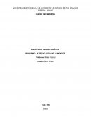 RELATÓRIO DE AULA PRÁTICA BIOQUÍMICA E TECNOLOGIA DE ALIMENTOS