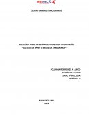 RELATÓRIO FINAL DE ESTÁGIO E PROJETO DE INTERVENÇÃO “NÚCLEOS DE APOIO À SAÚDE DA FAMÍLIA (NASF)”