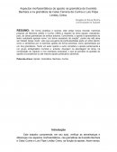 Aspectos Morfossintáticos do Aposto na Gramática de Evanildo Bechara e na gramática de Celso Ferreira da Cunha e Luís Filipe Lindley Cintra.