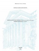 NANOCELULOSE PARA CONTROLE DA REOLOGIA DE FLUIDOS DE PERFURAÇÃO DURANTE A EXTRAÇÃO DO PETRÓLEO