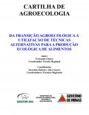 A TRANSIÇÃO AGROECOLÓGICA À UTILIZAÇÃO DE TÉCNICAS ALTERNATIVAS PARA A PRODUÇÃO ECOLÓGICA DE ALIMENTOS