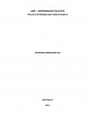 PROJETO INTEGRADO MULTIDISCIPLINAR PETRÓLEO BRASILEIRO S/A