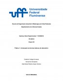 Relatório Química Introdução às Técnicas Básicas de Laboratório