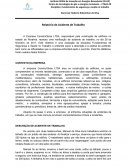 Relatório de Acidente Fundamentos de Segurança e Saúde no Trabalho