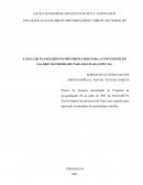 A FALTA DE PLANEJAMENTO PREVIDENCIÁRIO PARA A CONCESSSÃO DO SALÁRIO MATERNIDADE PARA SEGURADA ESPECIAL