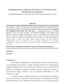 O MICROBIOLOGIA DOS ALIMENTOS: OS FUNGOS E A CONTAMINAÇÃO POR MICROTOXINAS EM ALIMENTO