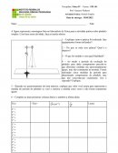 A Atividade Prática: Pêndulo Simples