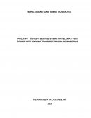 O ESTUDO DE CASO SOBRE PROBLEMAS COM TRANSPORTE EM UMA TRANSPORTADORA