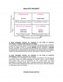 A MATRIZ BCG WALMART