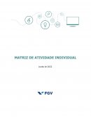 A MATRIZ DE ATIVIDADE INDIVIDUAL