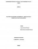 RELATÓRIO DE BIOQUÍMICA EXPERIMENTAL: HIDRÓLISE ÁCIDA E ENZIMÁTICA DE UM POLISSACARÍDEO