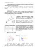 A Distribuição Eletrônica