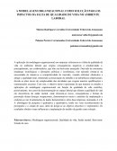 A MODELAGEM ORGANIZACIONAL COMO SOLUÇÃO PARA OS IMPACTOS DA FALTA DE QUALIDADE DE VIDA NO AMBIENTE LABORAL