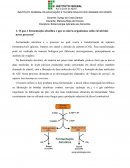 O que é fermentação alcoólica e que os micro-organismos estão envolvidos nesse processo?