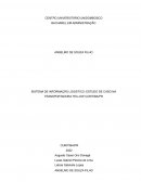 SISTEMA DE INFORMAÇÃO LOGISTICO: ESTUDO DE CASO NA TRANSPORTADORA YELLOW CURITIBA/PR