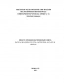 O PROJETO INTEGRADO MULTIDISCIPLINAR III (PIM III) EMPRESA NEI HIDRÁULICOS LTDA: A IMPORTÂNCIA DO PLANO DE NEGÓCIO.