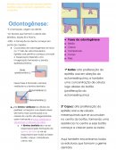 O Resumo Odontopediatria