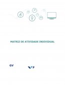 A MATRIZ DE ATIVIDADE INDIVIDUAL