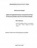 Regime de Progressão Durante o Cumprimento da Pena Privativa de Liberdade como Forma de Ressocialização