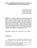 Como a Contabilidade pode Influenciar no Controle e na Tomada de Decisão no Ramo da Agropecuária.