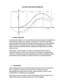 Ciclo de Vida de um Produto